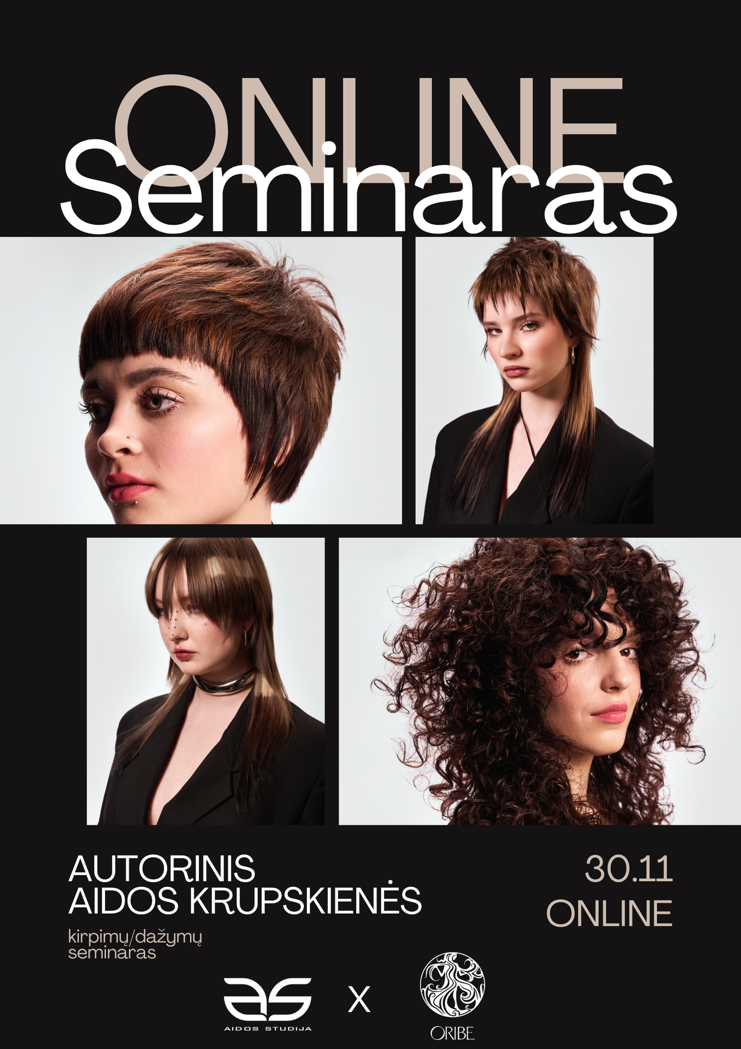 Autorinis Aidos Krupskienės ONLINE  kirpimų/dažymų seminaras